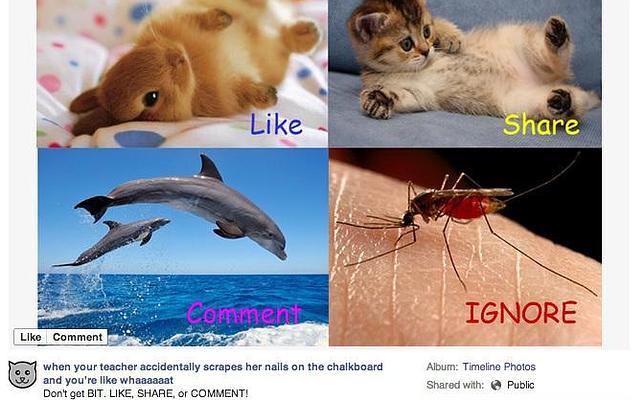 Facebook irá en contra de publicaciones que pidan «Me Gusta»