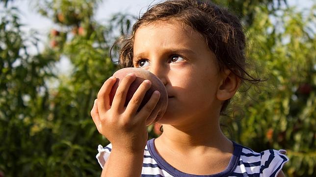 Una alergia alimentaria puede conducir a una alergia respiratoria
