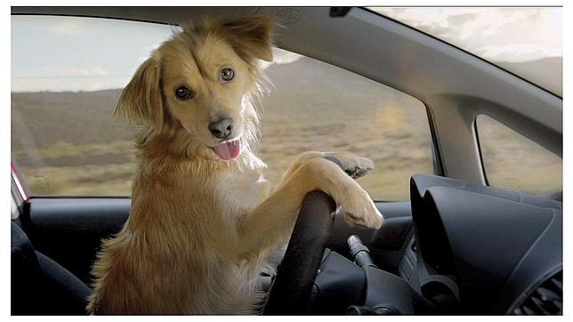 Ellos también tienen derecho a vacaciones