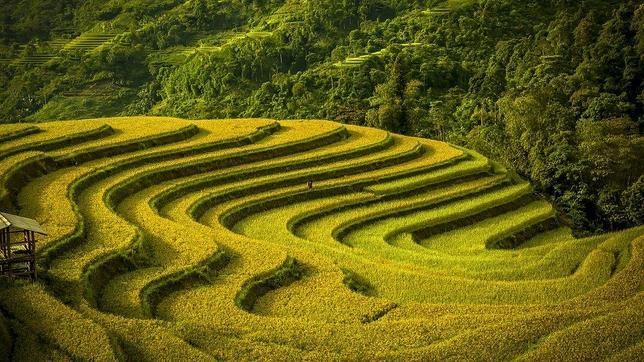 Algunas de las mejores fotografías de viajes del año