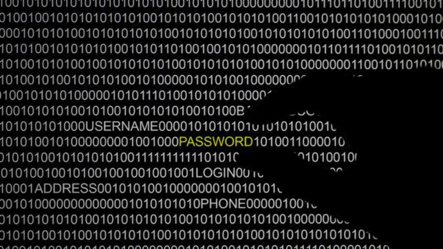 Robin Seggelmann: el desarrollador que provocó el fallo crítico Heartbleed
