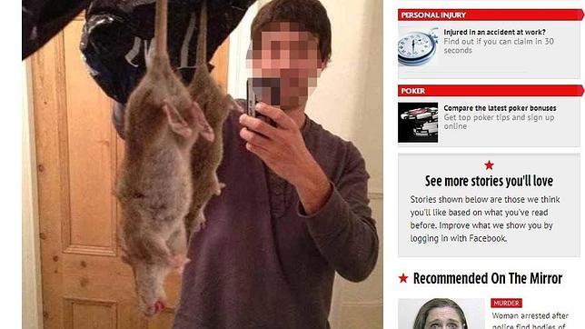 Una plaga de ratas gigantes inmunes al veneno sacude Gran Bretaña