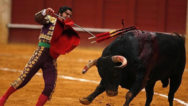 Morante, duda para el mano a mano con Finito en Zaragoza