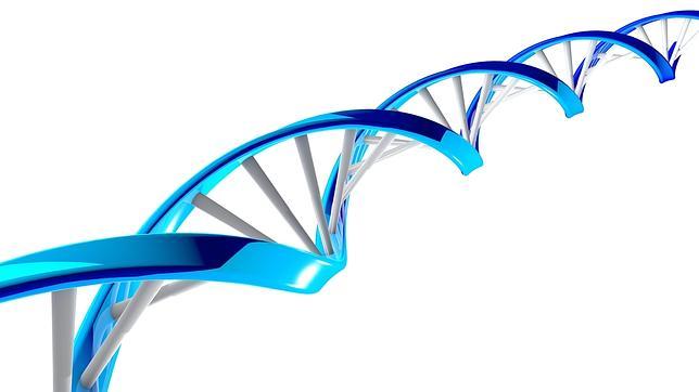 Aunque la genética es decisiva, casi un 40% del riesgo depende del estilo de vida