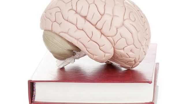 La lectura es uno de los mejores ejercicios para mantener el cerebro en forma