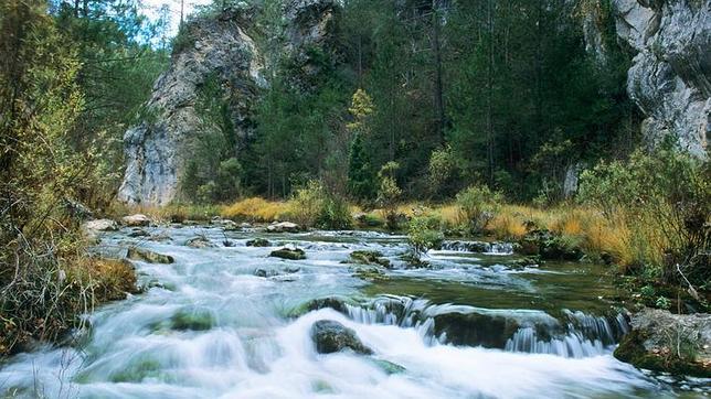 Unas 2.000 personas descubren los secretos del Parque de El Hosquillo en Cuenca