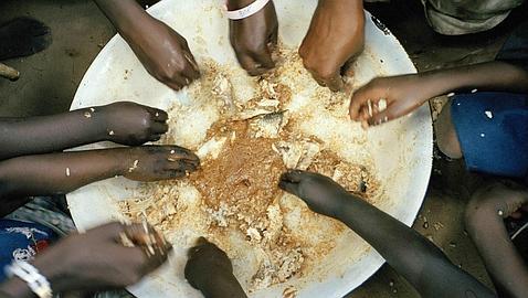 La dieta materna antes de la concepción determina la salud de los hijos