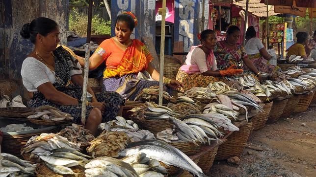 Puestos de pescados en Goa