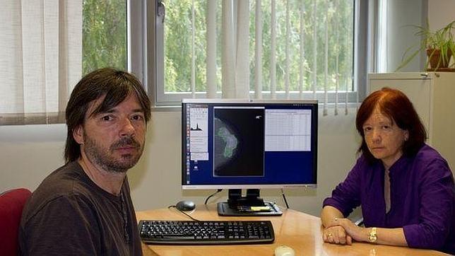 Un nuevo «software» español para determinar el riesgo de cáncer de mama