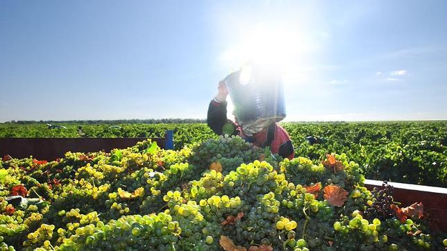 Rueda, donde el vino tiene nombre propio