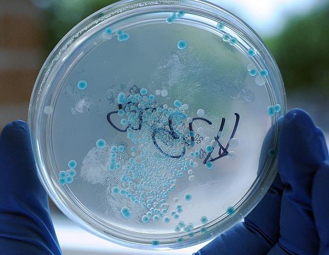 Reescriben el alfabeto de la vida