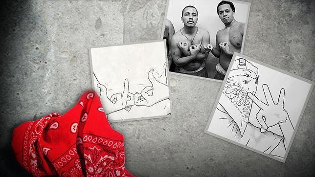 Indumentaria y símboloes de la banda Bloods