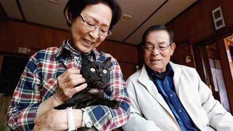 Un gato se reúne con sus dueños tres años después del tsunami de Japón