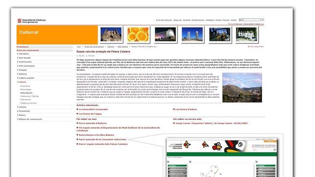 El día que el tripartito «catalanizó» las Fallas y las Hogueras de Alicante