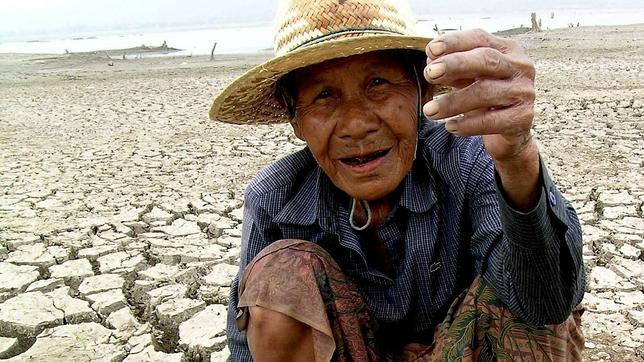 «El Niño» perjudica los cultivos de maíz, arroz y trigo, pero beneficia a la soja