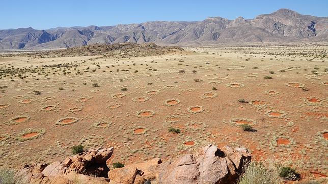 ¿Quién ha creado los misteriosos círculos de Namibia?