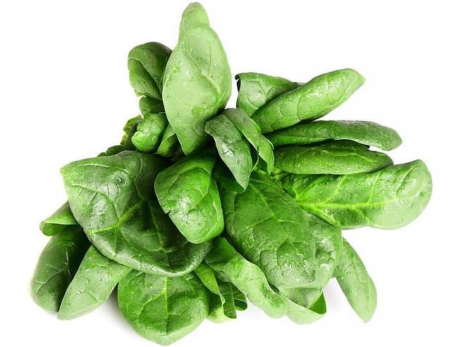 Espinacas frescas