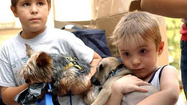 Lo que consigues en tus hijos si les das una mascota