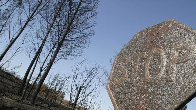 Así luchará Galicia este verano contra los incendios