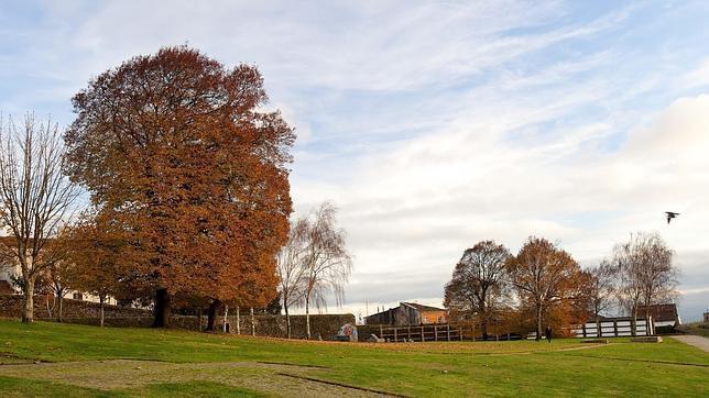 El tranquilo parque de Bonaval