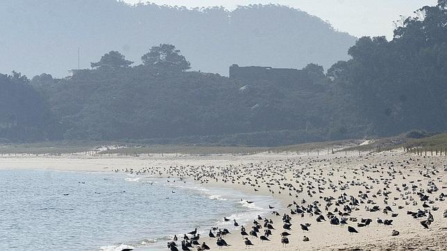 Parque Natural de las Islas Atlánticas