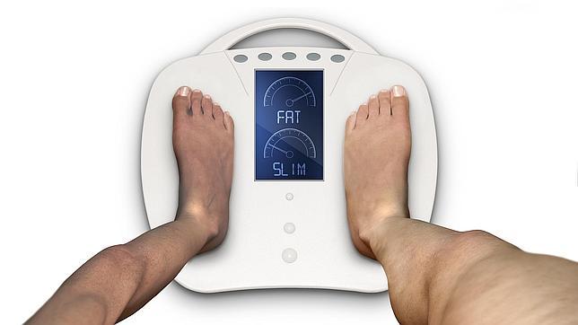 La respuesta al tratamiento de la obesidad podría estar en nuestro sistema inmune