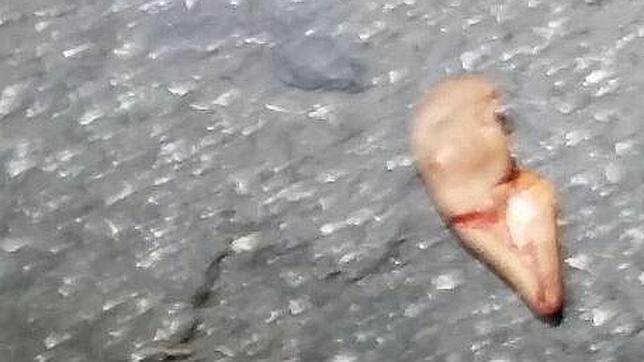 Un joven arranca la oreja a mordiscos a otro por una chica en Vallecas