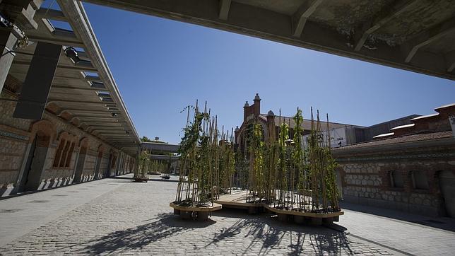 Aspecto de Matadero Madrid, espacio cultural alternativo de la capital