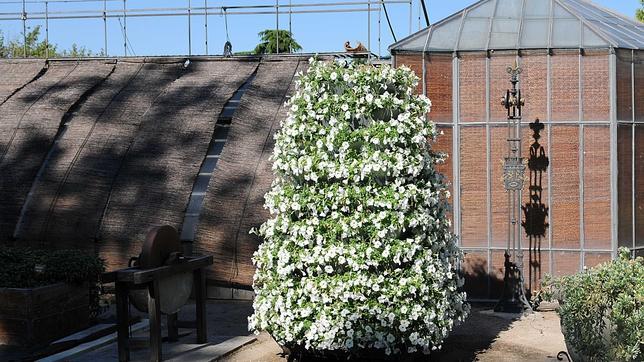 Así se vestirá Madrid para la proclamación de Felipe VI