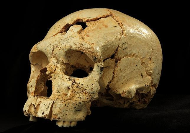 Atapuerca esclarece el origen de los neandertales