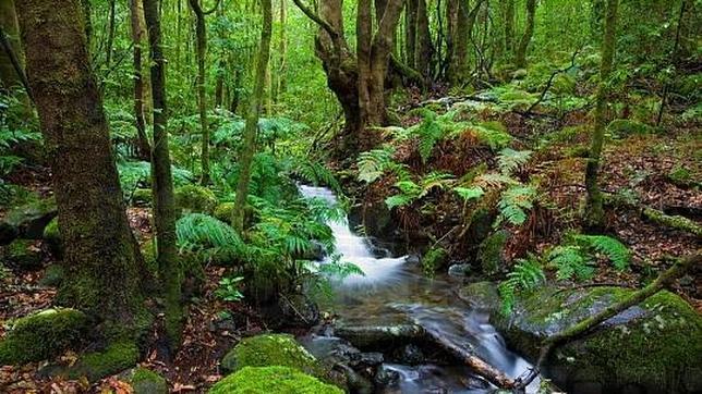 Barranco del Cedro, principal corriente de agua permanente del Parque