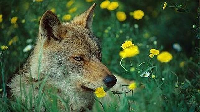 Las mejores imágenes de los Parques Nacionales de España