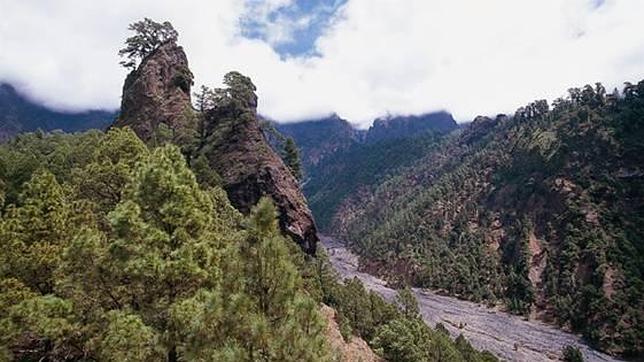 Arroyo de Taburiente