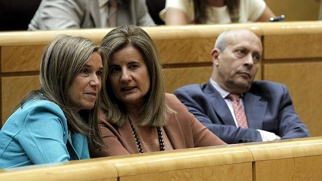 Mato insiste en que Gobierno trabaja por el máximo consenso sobre el aborto