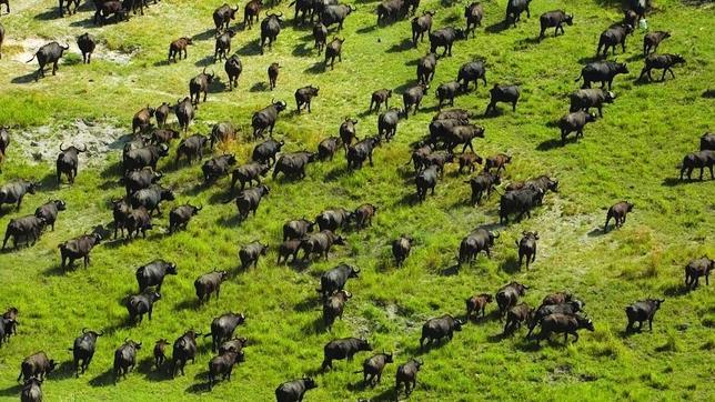 Las nuevas (y más espectaculares) joyas del Patrimonio de la Humanidad