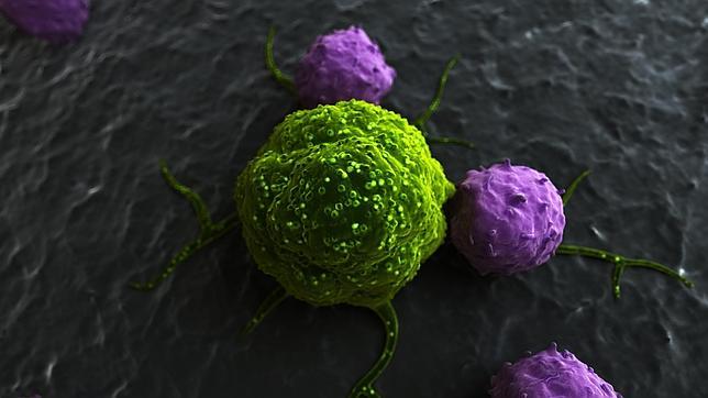 Los pacientes deprimidos tienen un sistema inmunológico más bajo