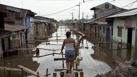 ¿El virus del dengue puede llegar a Europa gracias al Mundial de Brasil?