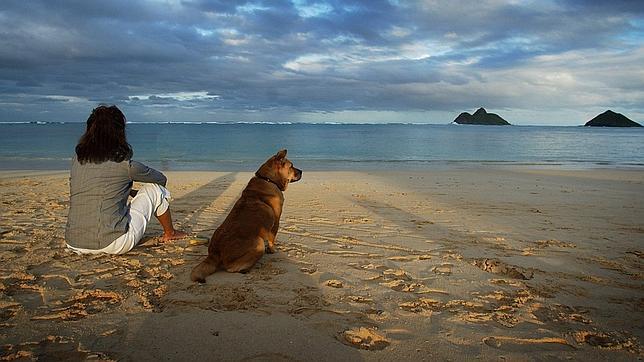 Las playas de España a las que sí puedes ir con tu perro