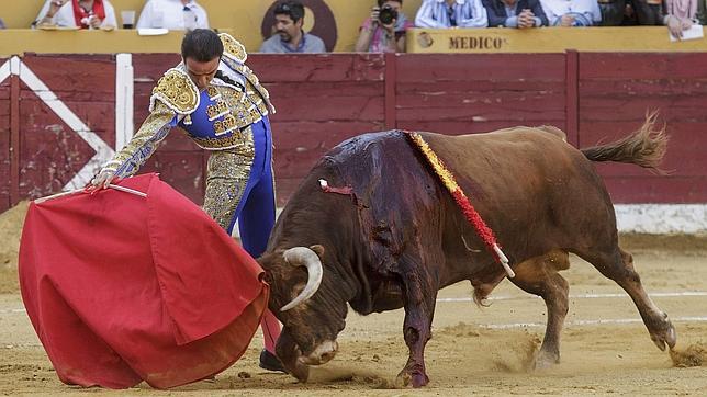 La Feria de Pontevedra ya tiene carteles