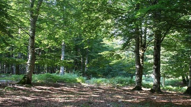 Diez lugares para enamorarse en Cataluña