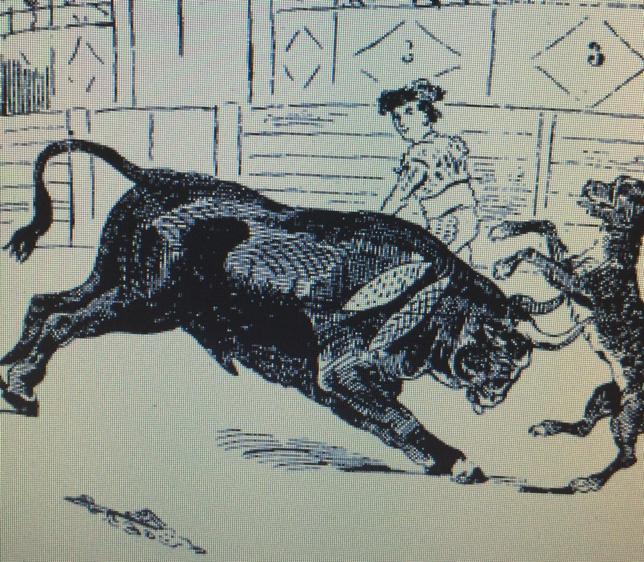 Paco, el perro más popular y torero