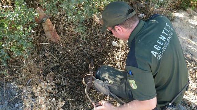 Agentes medioambientales requisan artes ilegales de caza en Toledo y Ciudad Real