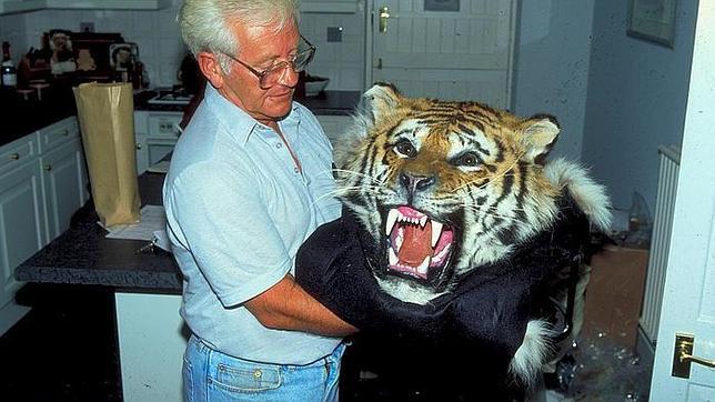 China admite que permite el comercio de las pieles de los tigres cautivos