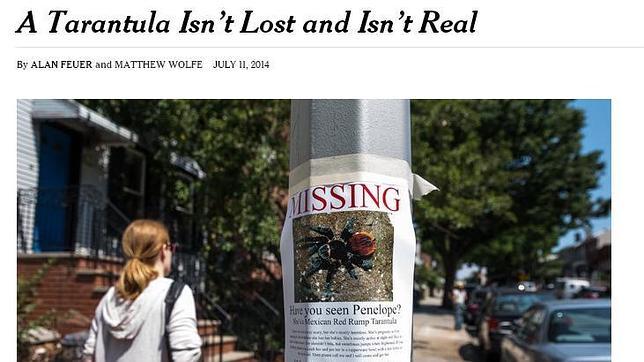 La falsa historia de la tarántula perdida en Nueva York, una broma pesada