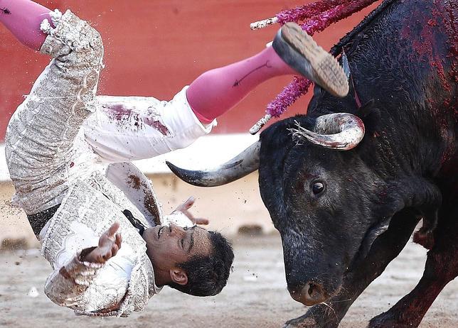Triunfo y cogida de Luis Bolívar con los Miuras en San Fermín