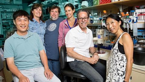 El grupo de investigación de Evans