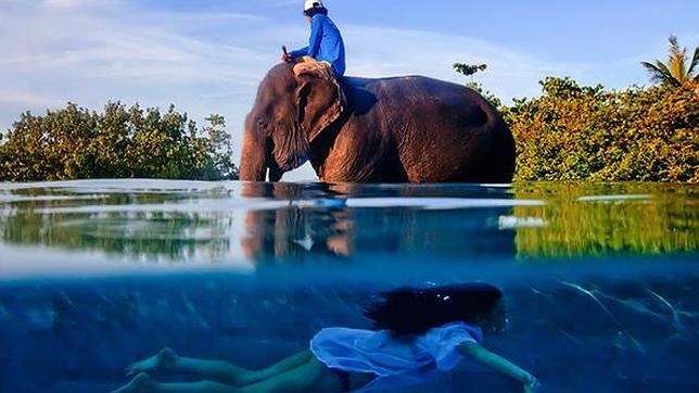 Una joven nada junto a un elefante en Tailandia. Premio a foto hecha con un solo disparo