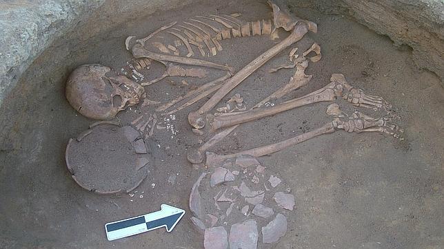 La dieta prehistórica incluía plantas medicinales