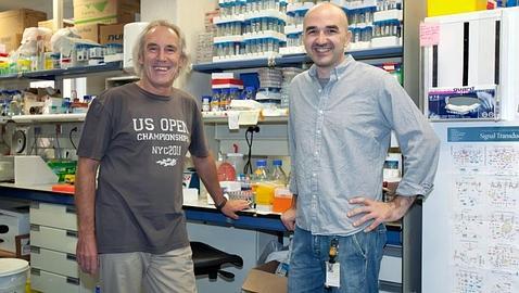 Los autores de la investigación