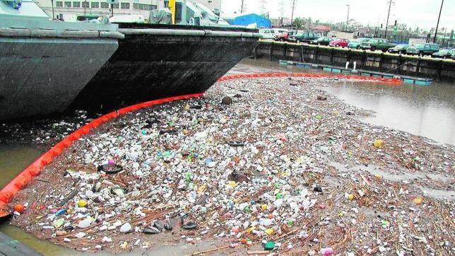 Los microplásticos se filtran a los peces a través de las branquias